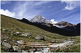 escursioni in Val Zebr a contatto con la natura incontaminata del Parco Nazionale dello Stelvio - Alta Valtellina